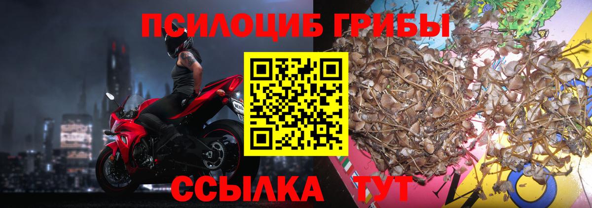 Вичуга  Псилоцибиновые грибы мухоморы  Вход с VPN 